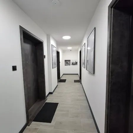 Daire Skalny Loft