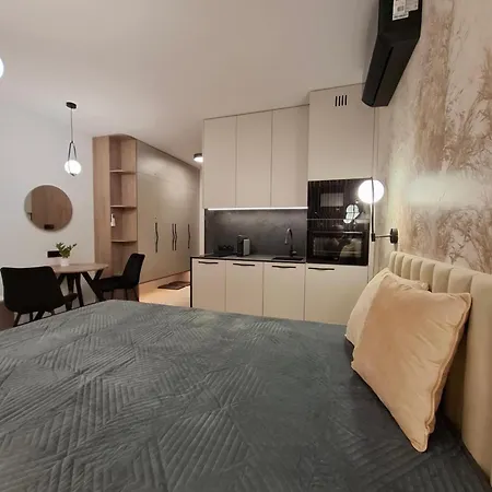 Skalny Loft Appartement *